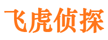 孟津调查公司